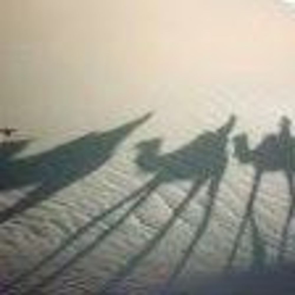 Meet your Posher, Stacey